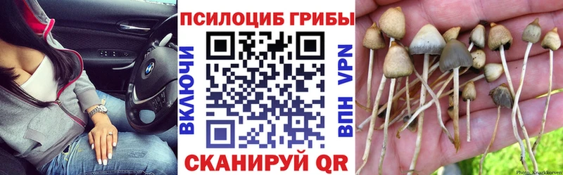 Псилоцибиновые грибы MAGIC MUSHROOMS  Лахденпохья 